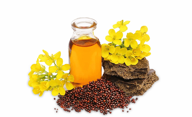 Oils and Oleoresins - Minhana Ingredients
